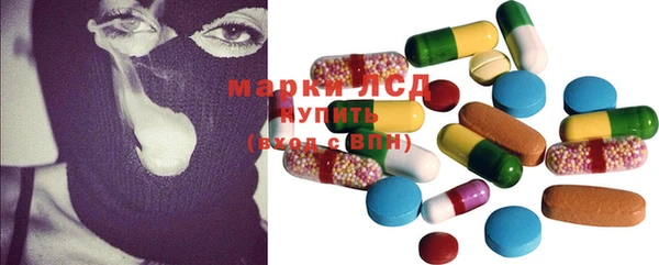 крисы Верея