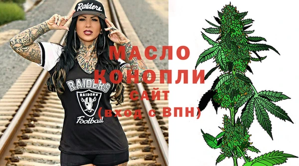 молекула духа Слюдянка